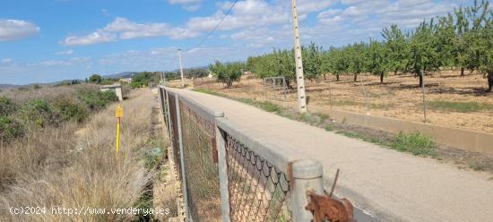 Finca rustica en venta Lliria. - VALENCIA