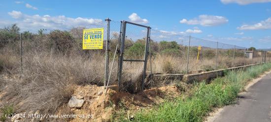 Finca rustica en venta Lliria. - VALENCIA