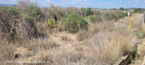 Finca rustica en venta Lliria. - VALENCIA