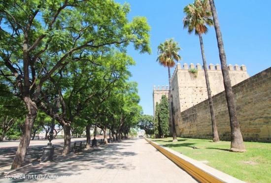 Vivienda a 5 minutos de  la plaza arenal - CADIZ