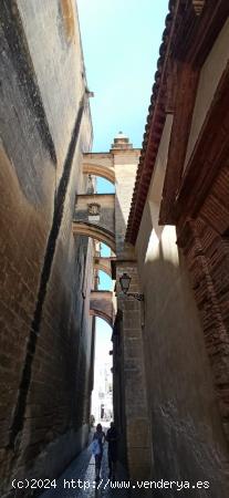 PRECIOSA CASA PALACIO EN ARCOS DE LA FRONTERA - CADIZ