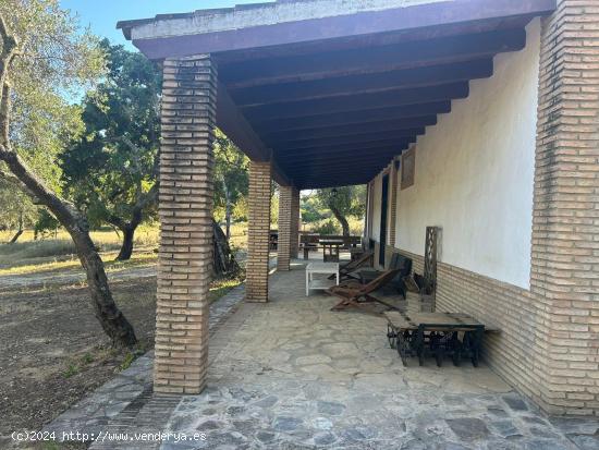 Espectacular finca de 76.329 m2 en Loma Maina, Alcalá de los Gazules - CADIZ