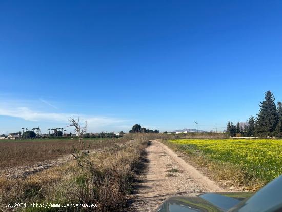 Terreno Almoradí Partida el Gabato 11.636 m2 Cerca Polígono Maromas y nuevo colegio - ALICANTE