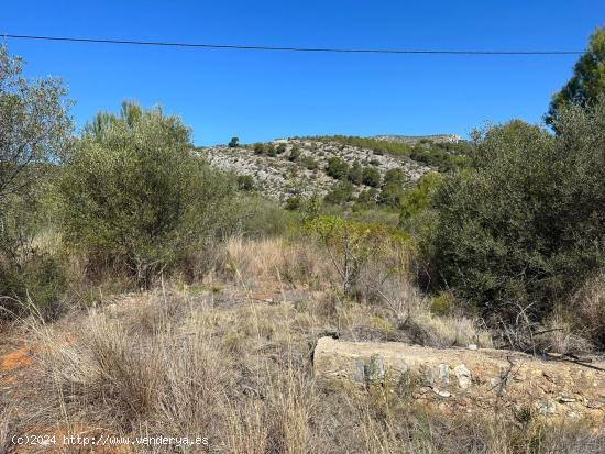 FINCA RÚSTICA EN LA RIBERA DE CABANES - CASTELLON