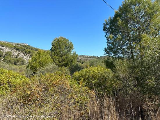 FINCA RÚSTICA EN LA RIBERA DE CABANES - CASTELLON