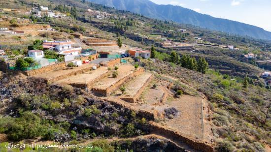 Terreno Rústico Agrario en Arafo - SANTA CRUZ DE TENERIFE