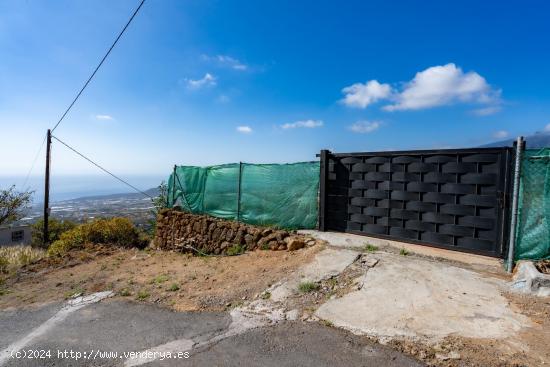 Terreno Rústico Agrario en Arafo - SANTA CRUZ DE TENERIFE