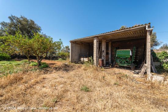 Terreno rústico con posibilidad de construir 3 viviendas unifamiliares en Felanitx - BALEARES