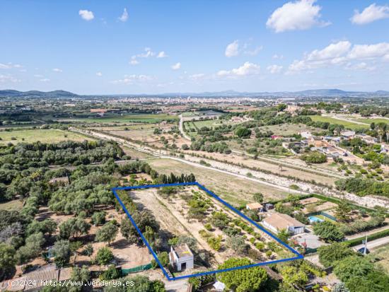 Finca Rústica cerca de Manacor - BALEARES