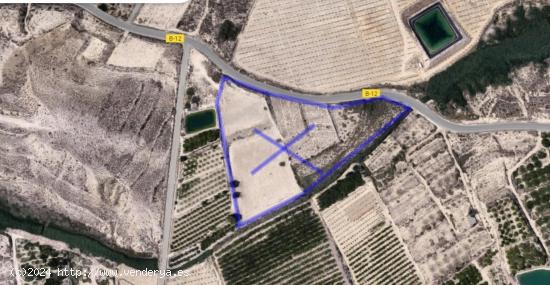  SE VENDE FINCA DE REGADIO EN CAÑADA EL ROYO - MURCIA 