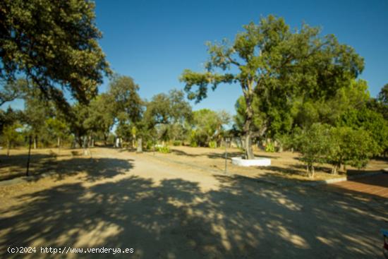 PRECIOSA PARCELA CON CHALET Y PISCINA EN UN PARAJE MUY TRANQUILO - BADAJOZ