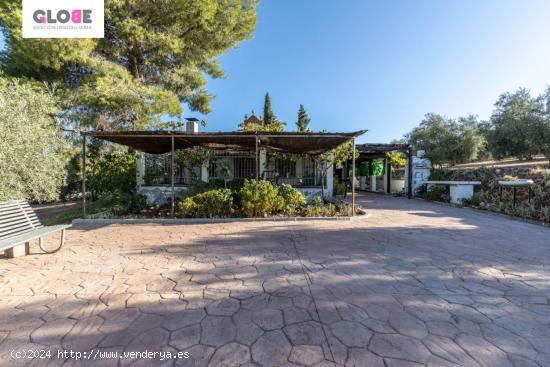 Casa rural con 300 olivos de riego y almendras - GRANADA