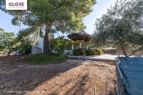 Casa rural con 300 olivos de riego y almendras - GRANADA