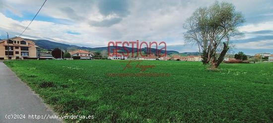 PARCELAS URBANAS EN EL CENTRO DE MERUELO. SAN MIGUEL DE MERUELO - CANTABRIA