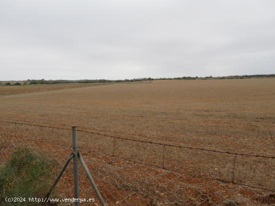 Finca rústica en venta Inca - BALEARES