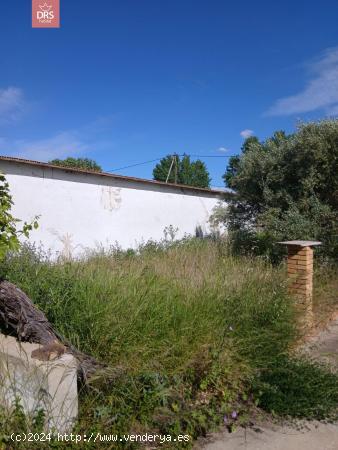 CASA DE PUEBLO EN CASAS DE VES - ALBACETE