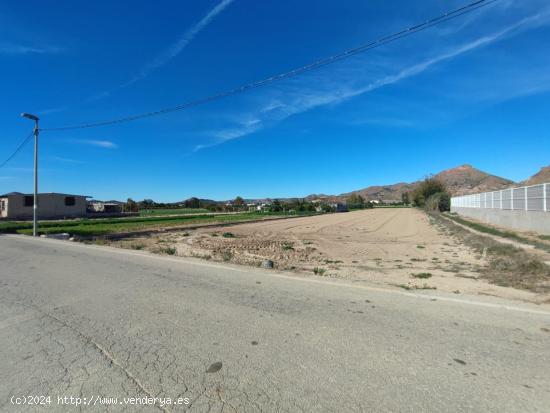  PARCELA URBANIZABLE EN LA HUERTA DEL ESPARRAGAL - MURCIA 