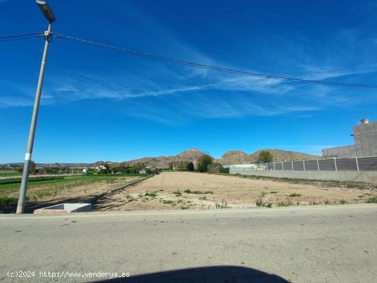 PARCELA URBANIZABLE EN LA HUERTA DEL ESPARRAGAL - MURCIA