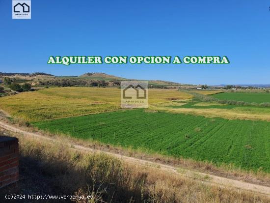  APIHOUSE VENDE FINCA DE REGADIO EN LA VEGA DEL RIO TAJO.   PRECIO INICIAL 125.000€ - TOLEDO 