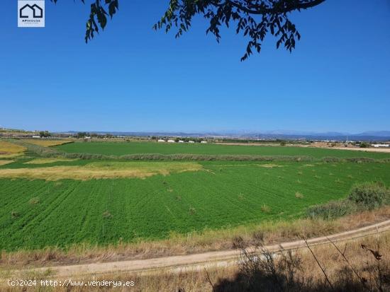 APIHOUSE VENDE FINCA DE REGADIO EN LA VEGA DEL RIO TAJO.   PRECIO INICIAL 125.000€ - TOLEDO