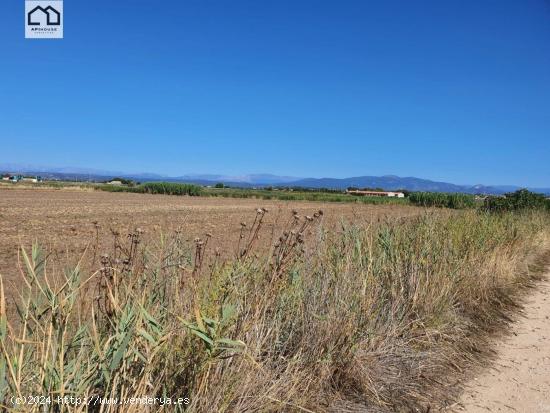 APIHOUSE VENDE FINCA DE REGADIO EN LA VEGA DEL RIO TAJO.   PRECIO INICIAL 125.000€ - TOLEDO