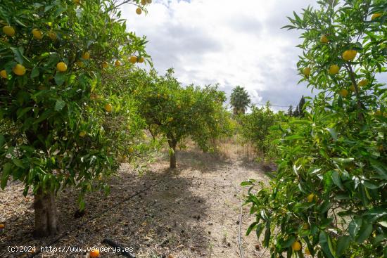 CASITA DE CAMPO A REFORMAR CON ALBERCA - MALAGA