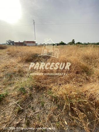 MAJANEQUE - Estupendo precio!! Parcela de 1.250m para inversión, recreo, huerto. - CORDOBA