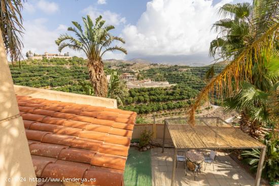 Fabulosa villa y gran terreno en produccion. - GRANADA