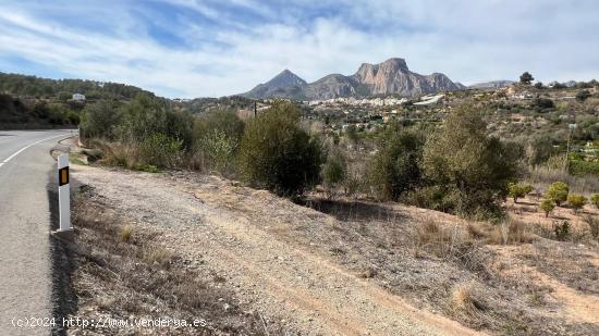 TERRENOS EN LA NUCIA - ALICANTE