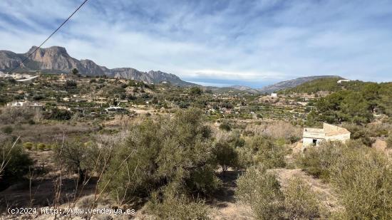 TERRENOS EN LA NUCIA - ALICANTE