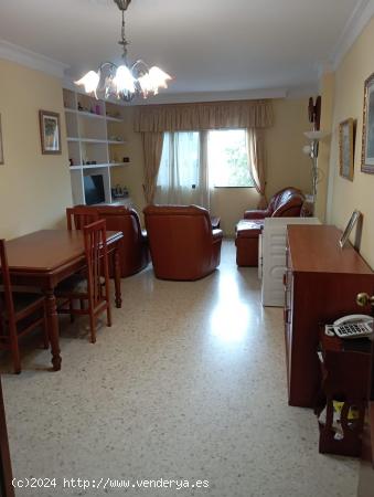  SE VENDE PISO EN SAN FERNANDO , ZONA CAMPOSOTO - CADIZ 