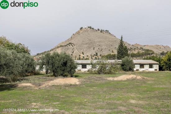  ¿Te falta espacio o lo tuyo es la Agricultura?. Suelo rustico con 6800 metros cuadrados y 2 naves.  