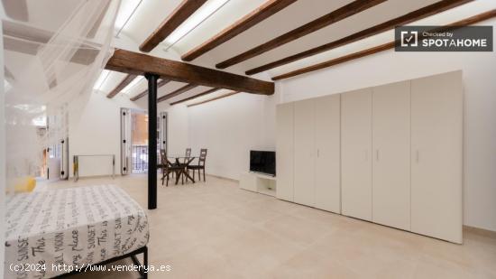 Estudio apartamento en alquiler en Ciutat Vella. - VALENCIA