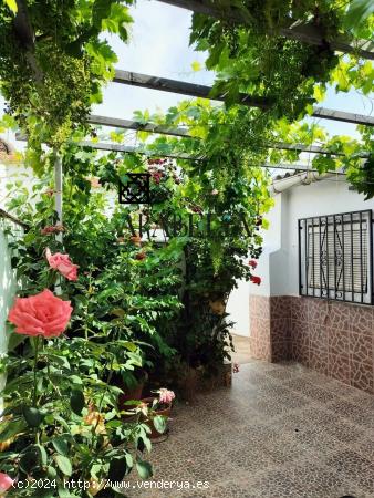 SE VENDE CASA EN FUENTE OBEJUNA - CORDOBA