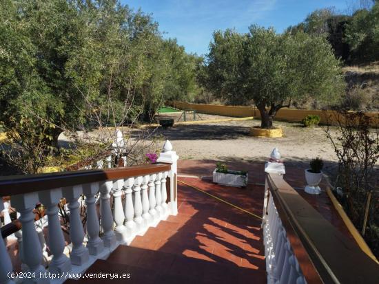 Casa de Campo de Madera de Cedro  Autentificada  - ALICANTE