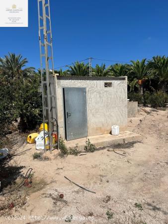 PARCELA EN PUZOL CON AGUA Y LUZ. - ALICANTE