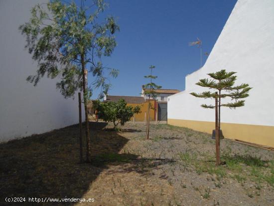 Pacela en la Romeria de San Isidro , GIbraleon - HUELVA