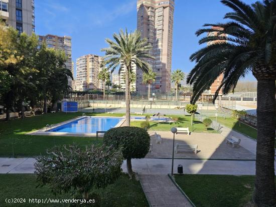 ESPECTACULAR VIVIENDA - ALICANTE