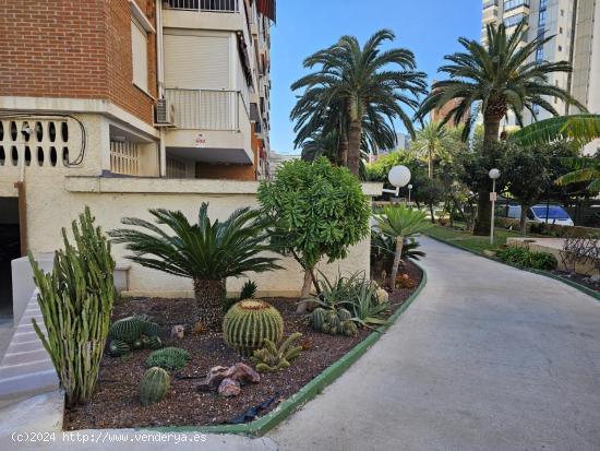 ESPECTACULAR VIVIENDA - ALICANTE