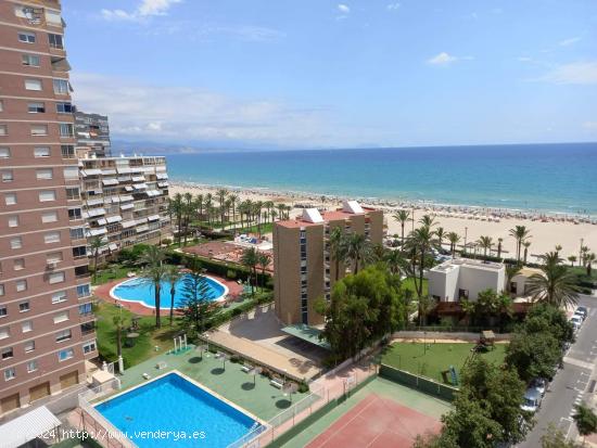 SE ALQUILA PISO EN LA AVENIDA PAÍSES ESCANDINAVOS - PLAYA DE SAN JUAN - ALICANTE