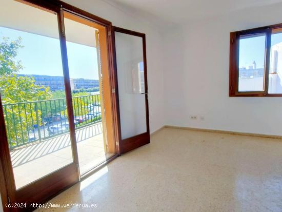 Buscas un amplio apartamento en el centro de puerto Alcudia? - BALEARES