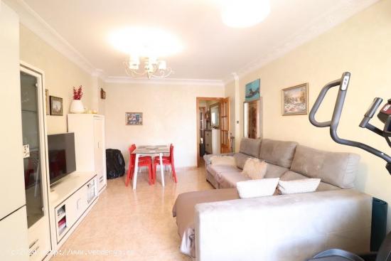 TORREVIEJA  Classic APARTMENT 1ST FLOOR - ALICANTE