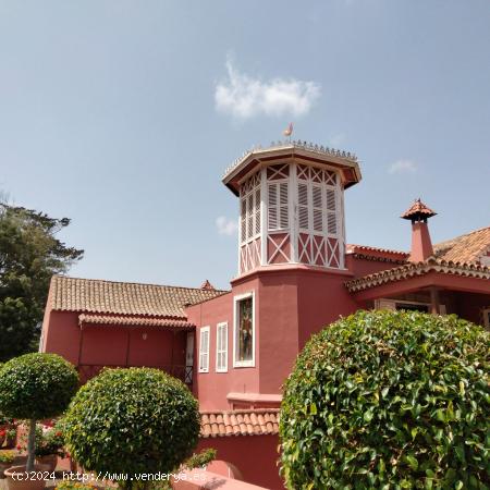 ESPECTACULAR ALQUILER EN LA CASA DEL GALLO - LAS PALMAS