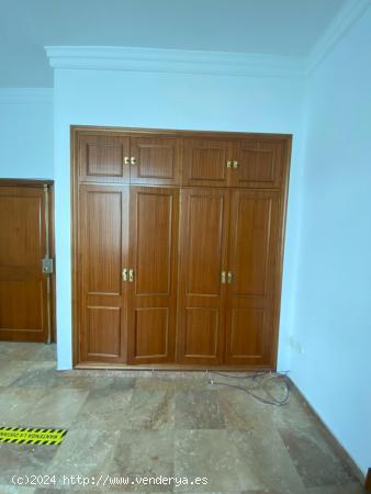 VIVIENDA AMPLIA EN EL CENTRO!!! - CADIZ