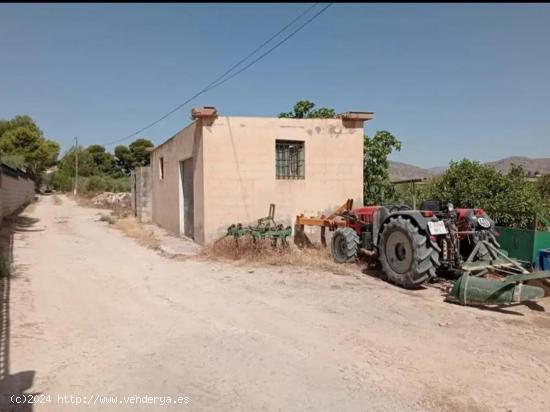 Terreno rustico con Almendros - Olivos - Higueras - ALICANTE