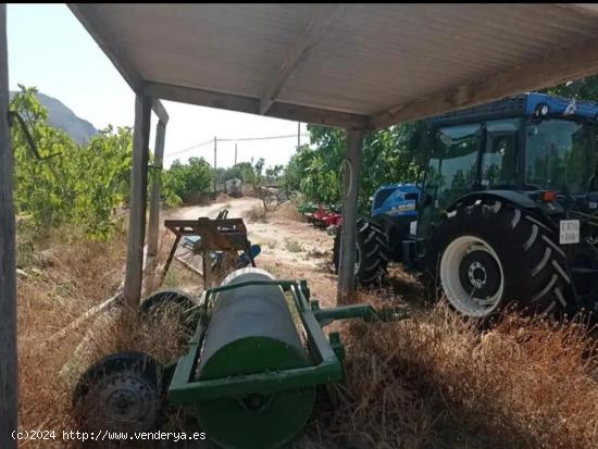 Terreno rustico con Almendros - Olivos - Higueras - ALICANTE