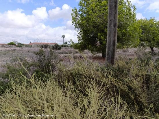 Terreno Urbano en Elche, Pedanías Zona Valverde - Oportunidad Única - ALICANTE