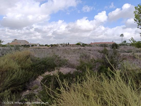 Terreno Urbano en Elche, Pedanías Zona Valverde - Oportunidad Única - ALICANTE