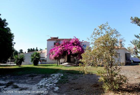 Exclusivo Chalet Independiente en Mutxamel - ALICANTE