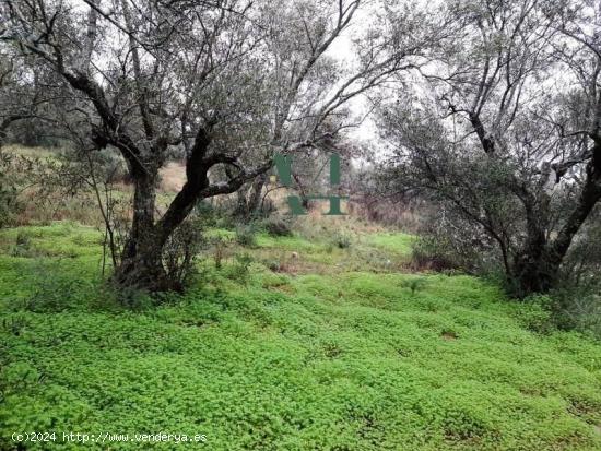 Terreno Rural en Zona Risco - Sierra de Fuentes - CACERES